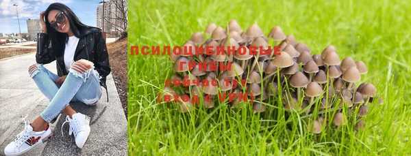 дмт Абдулино