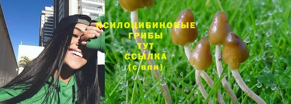 дмт Абдулино